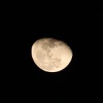 image_685.jpg